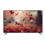 NASCO LED FLAT 32''